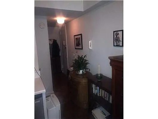 Rented by Douglas Elliman | media 19