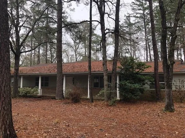 16823 Dogwood Ct, Plantersville, TX 77363