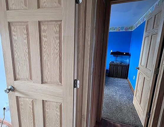 Wood doors 