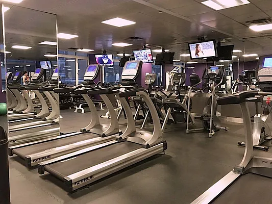 Rented by Dynamik Realty | media 26