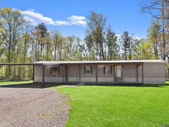 19606 Rudy Lee Rd, Livingston, LA 70754
