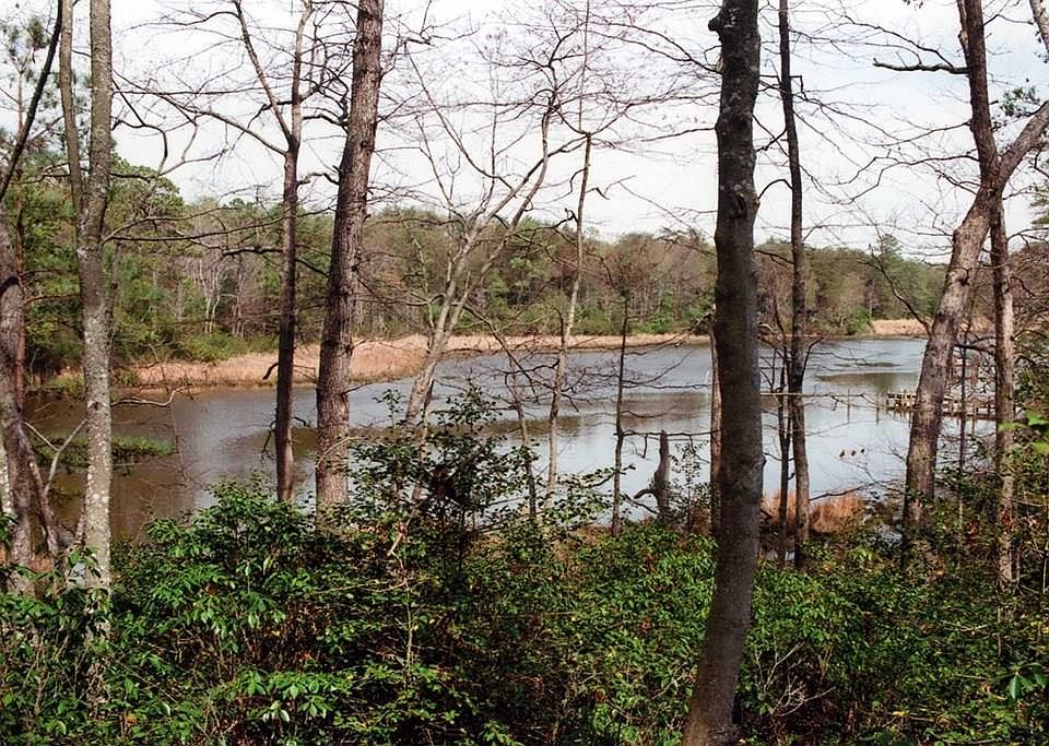 1st image of LOT 99 Steamboat Ln