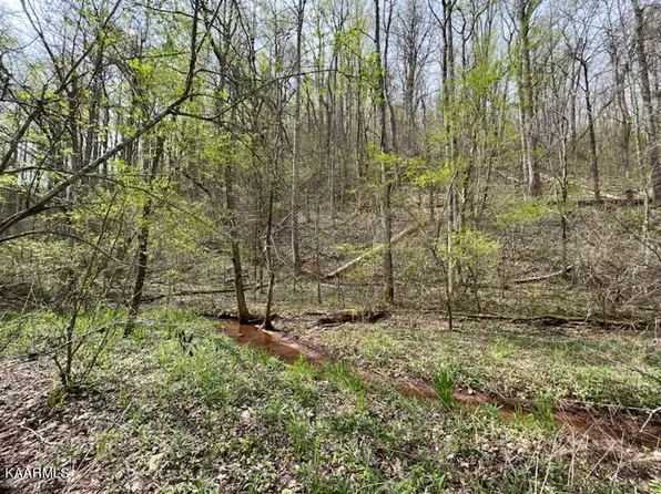 Co Road 480, Englewood, TN 37329