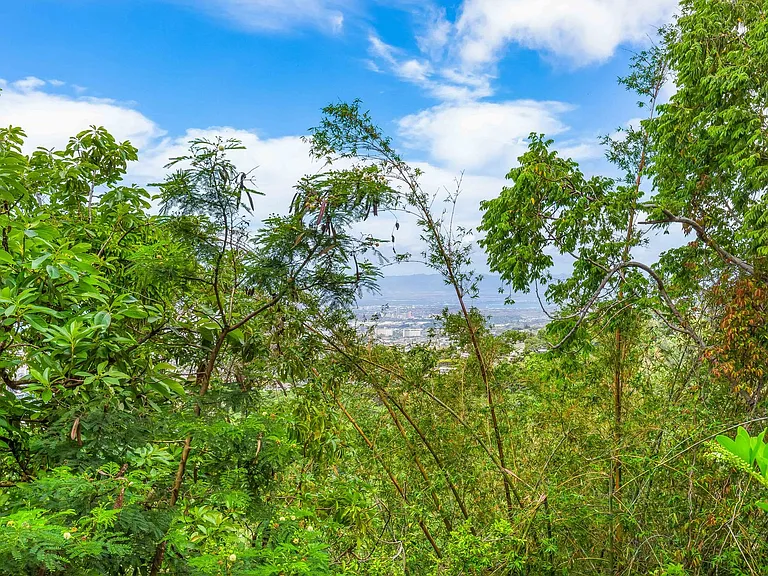 3310 Tantalus Dr #A — Photo 29