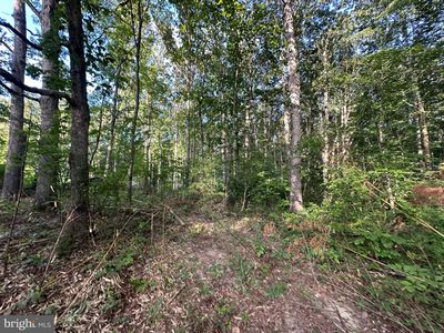 230 Tacketts Mill Rd, Stafford, VA, 22556