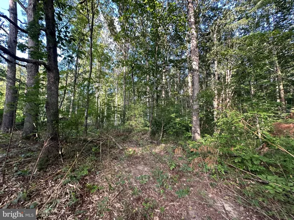 230 Tacketts Mill Rd, Stafford, VA 22556