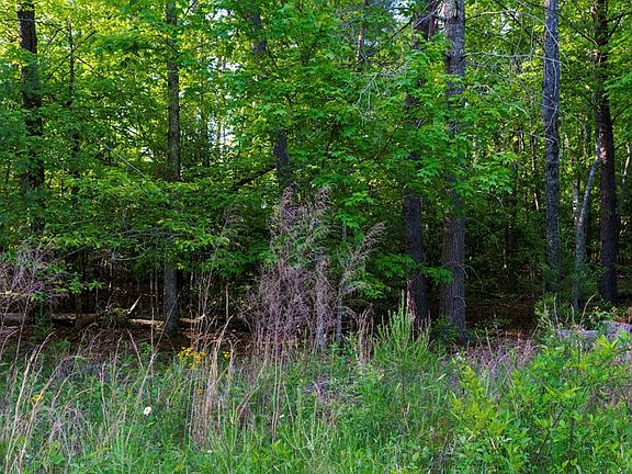 5th image of TR 1&2 W Gum Log Road
