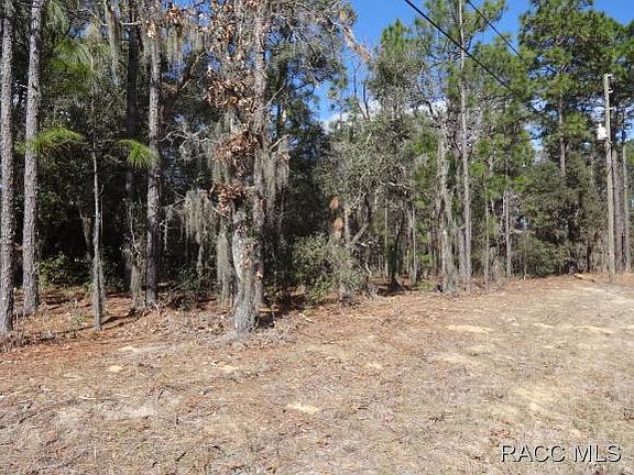 4th image of 9772 N Country Club Way