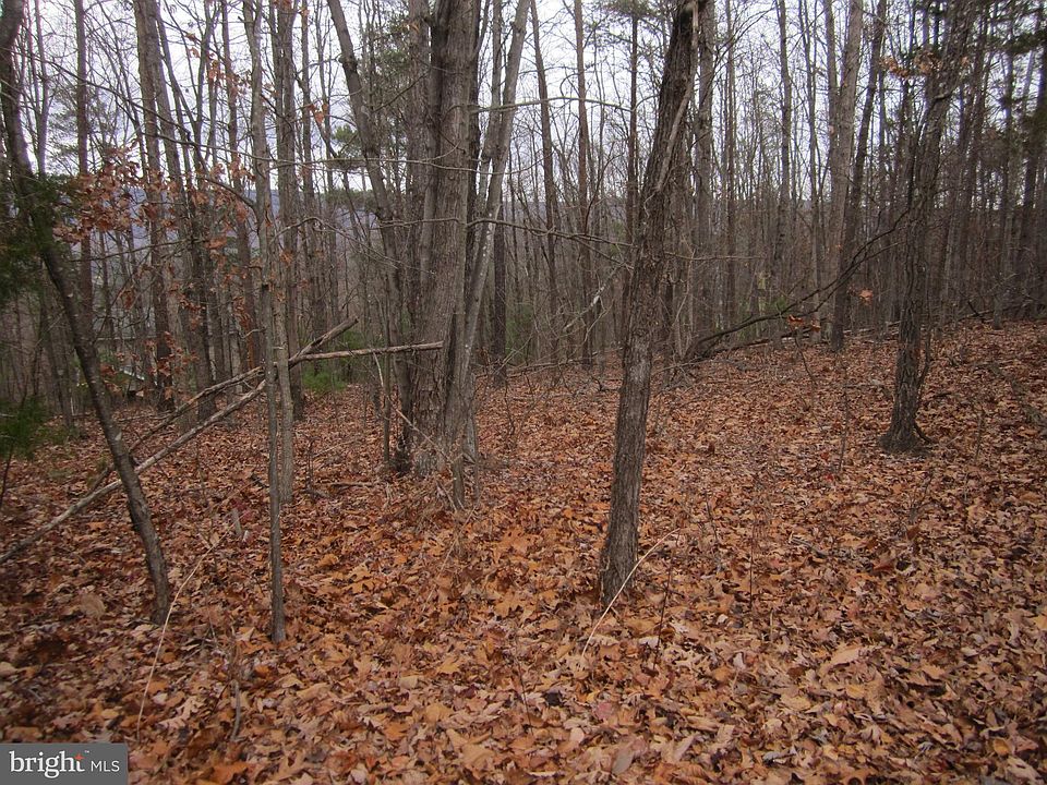 2nd image of Supinlick Ridge Rd