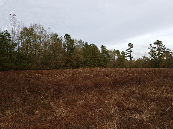 3rd image of 1 Corners Ln