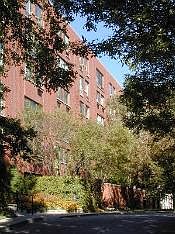 1st image of 1115 S Plymouth Ct APT 410