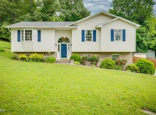 180 Ashley Dr, Mt Carmel, TN 37645