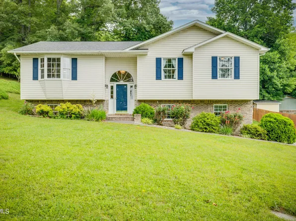 180 Ashley Dr, Mt Carmel, TN 37645