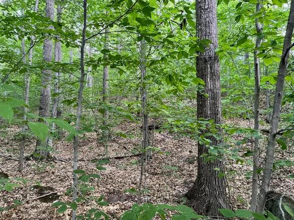 Lot 15 Tufts Pond Road, Kingfield, ME 04947