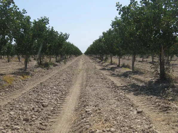 99999 NE Corner Of Rd #104, Pixley, CA 93256