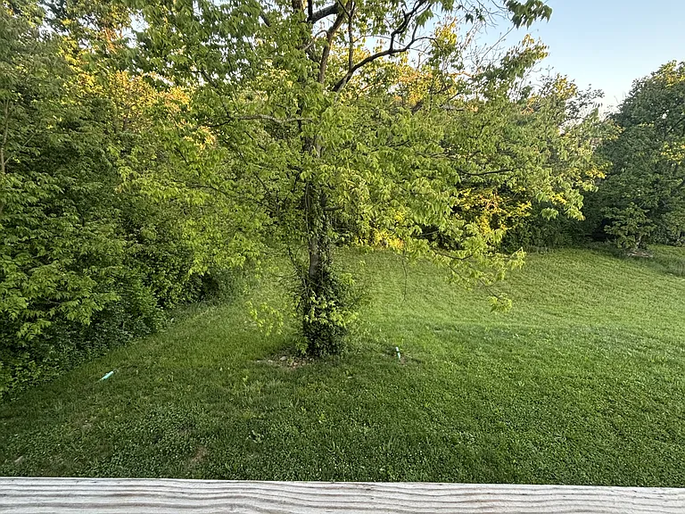 126 Locust Fork Rd — Photo 10