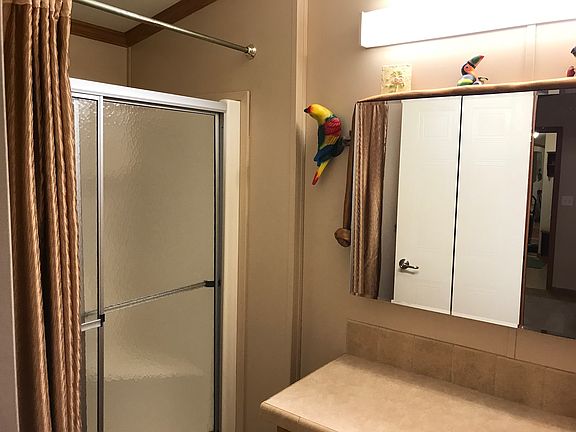 Mstr Bath step in shower