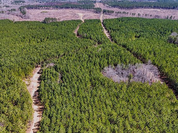 2nd image of 3 John Kay Rd