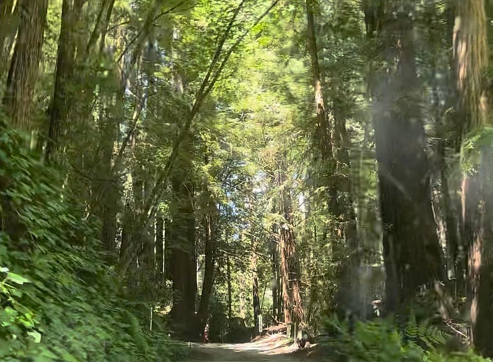 1st image of 1251 Eureka Canyon Rd