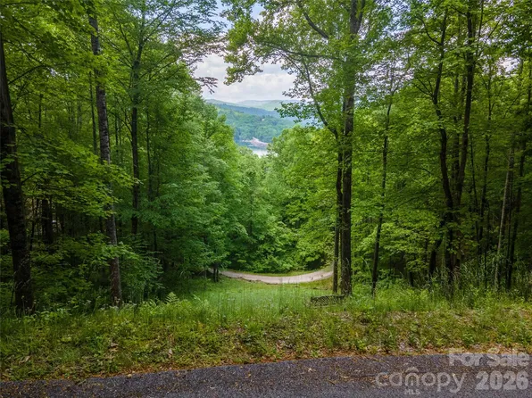 LOT 10 Von Trapp Ln, Tuckasegee, NC 28783