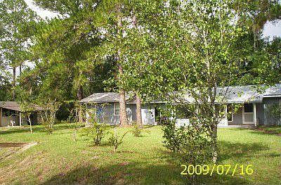 Home Hugged in Trees