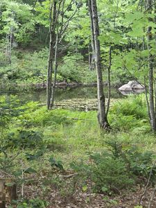124 River Road Lot 12, Sumner, ME, 04292
