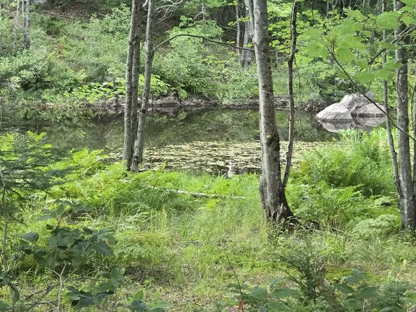 Lot12 River Road Lot 12, Sumner, ME 04292