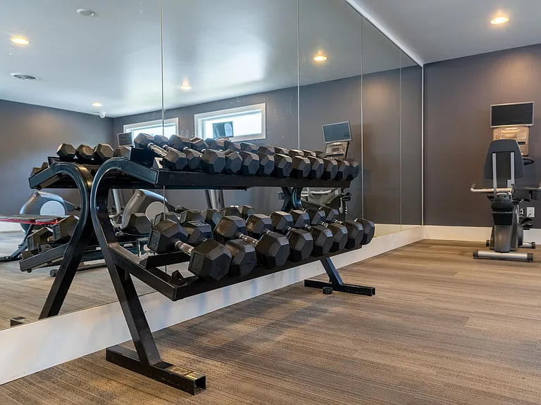 Weights in Fitness Center
