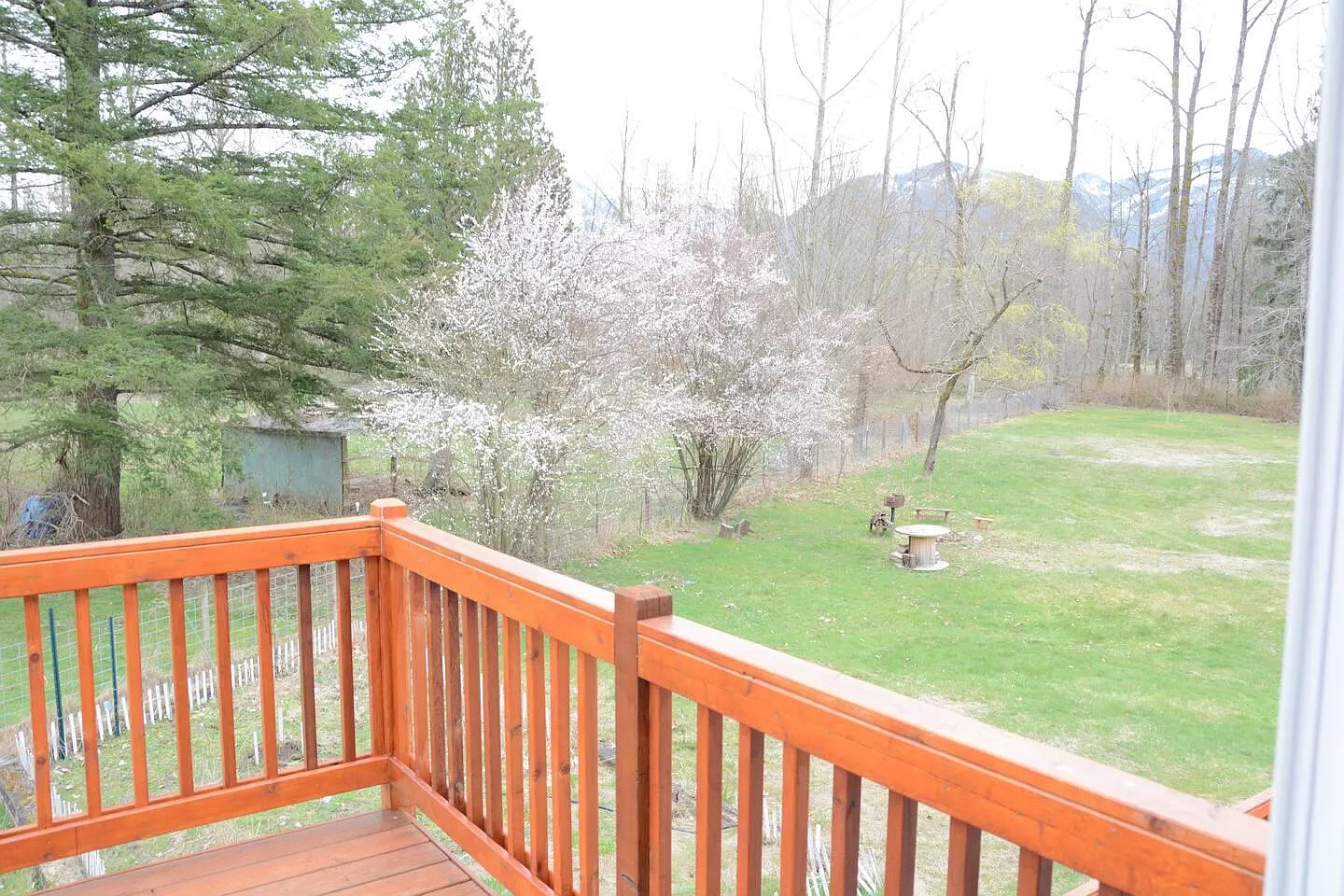3 bed, 1371 sqft, $3,500 — Photo 3