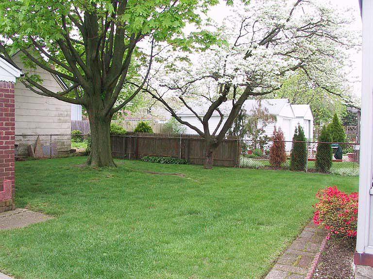 Large Backyard