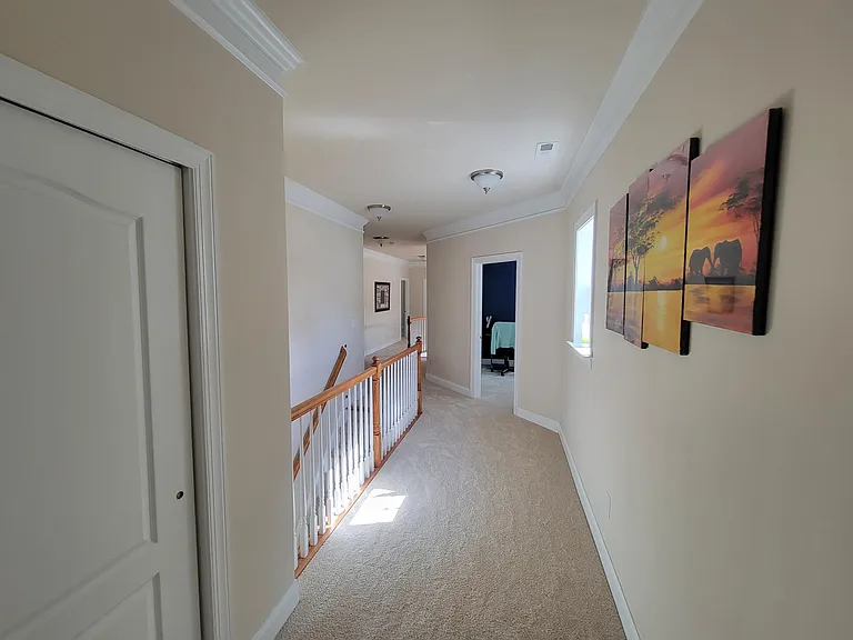 3717 Linville Gorge Way — Photo 21