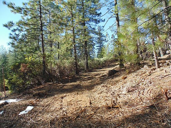 3rd image of Acres 40 Ringtail Rd