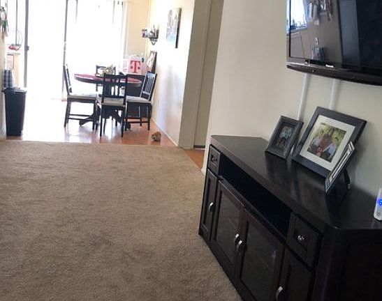 5th image of 1907 Deerpark Dr APT 539