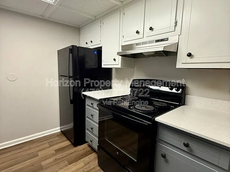 3730 Old Flowery Branch Rd #H4 — Photo 4