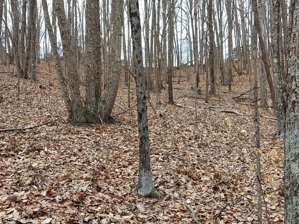 0 Camellia Ln Lot 1, Hurt, VA 24563