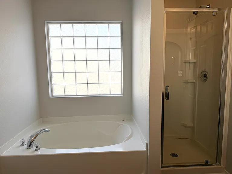 Master Bathroom tub and shower