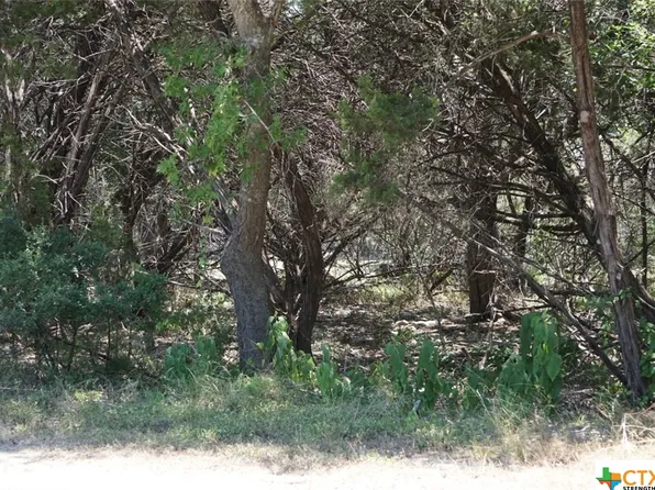 9 Canyon Trl, Morgans Pt Resort, TX 76513