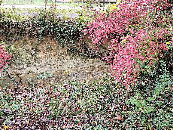 Creek at back of lot