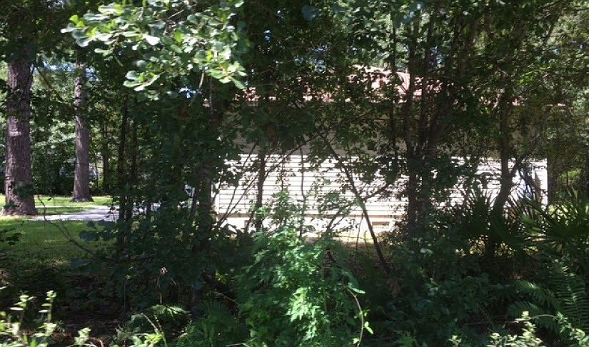 2nd image of 123 Goethe Rd #B