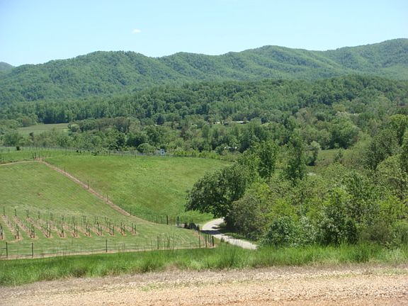 3rd image of 6 Mill Hill Ln