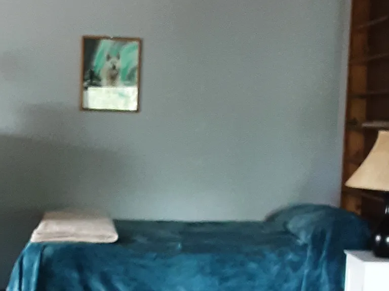 3105 W Top Of The World Cir #B — Photo 5