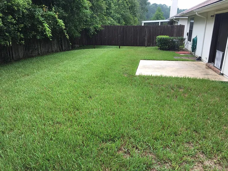 Backyard and Patio