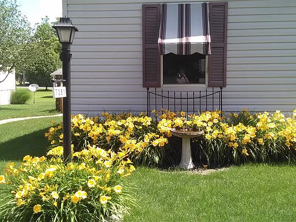4th image of 7381 Hollydale Dr
