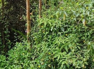 Oahu Rd, Pahoa, HI 96778