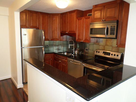 3rd image of 440 N Wabash Ave APT 1604
