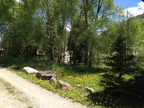 3rd image of Tbd W Galena