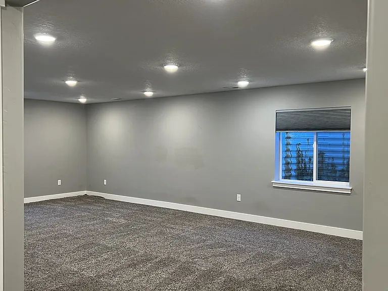 Basement Family Room