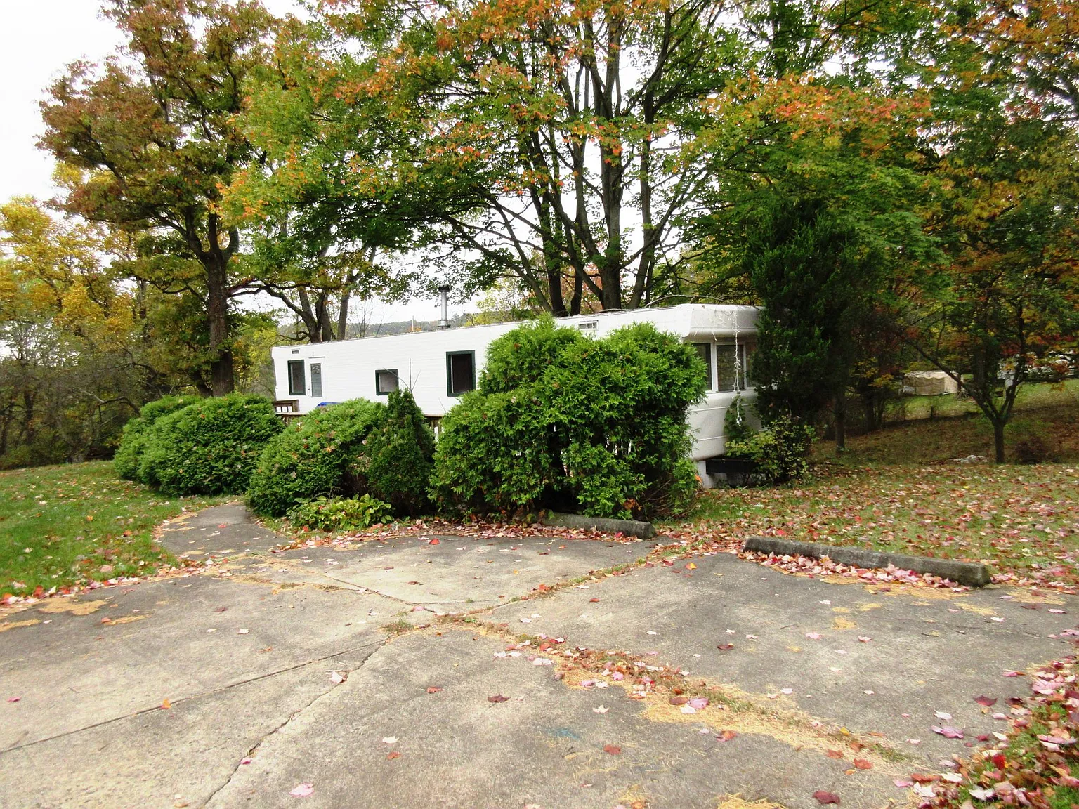 1 bed, 500 sqft, $800 — Photo 4