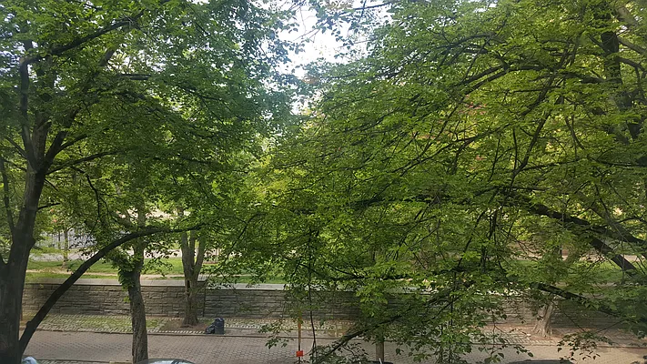 Rented by Mottier Enterprises Ltd. | media 12