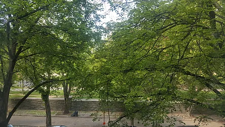 Rented by Mottier Enterprises Ltd.